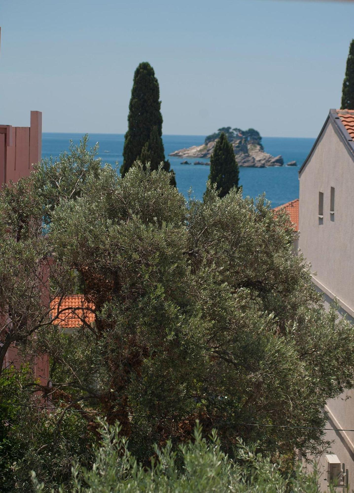 Guest House Maslina Petrovac na moru Zimmer foto